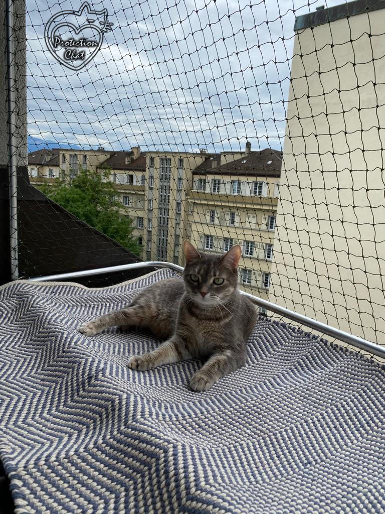 Filet De Protection Pour Balcon 3x8m - Transparent, Nylon Résistant - Pour Chats, Oiseaux, Sécurité - Sans Perçage