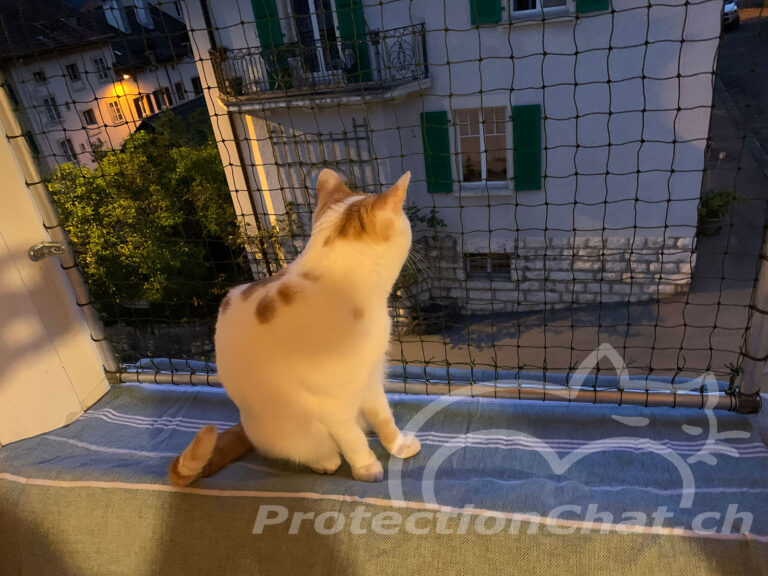Cadre de securite avec filet fixe 01 https shop.protectionchat.ch