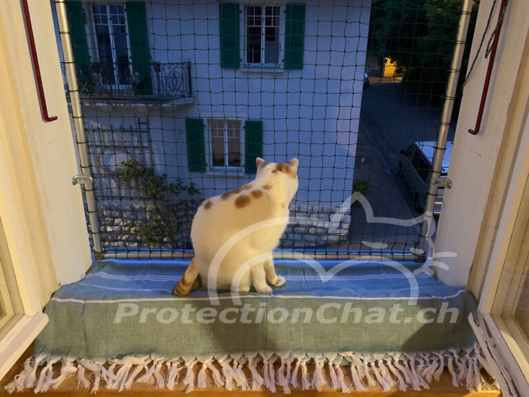 Cadre de securite avec filet fixe https shop.protectionchat.ch