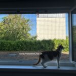 Protection-Chat-Cadre-avec-filet-pour-fenetre-sans-percer-de-trous-05