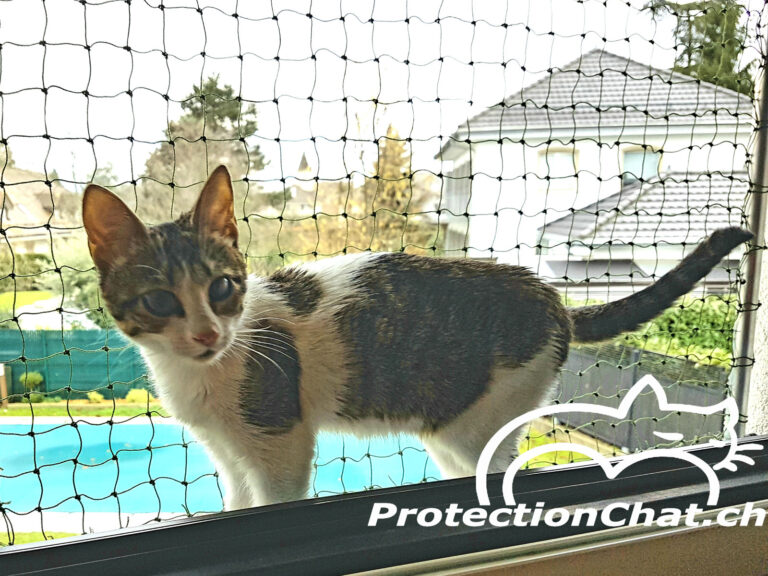 Protection Chat Cadre de securite pour chat avec filet coulissant et fixation sans percer de trous interieur 02