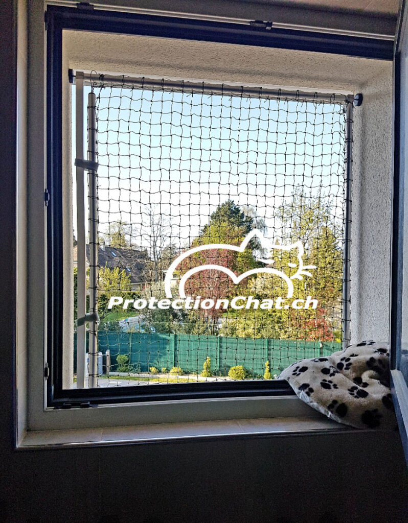 Fenêtres sécurisées • Installation de filet de protection pour chats