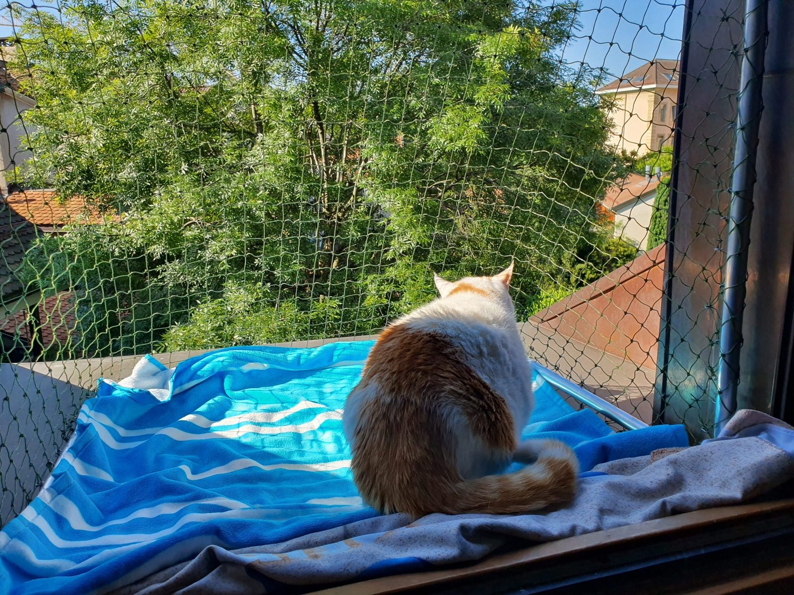 Filet de protection pour fenêtre "Cage de Foot" • PROTECTION CHAT
