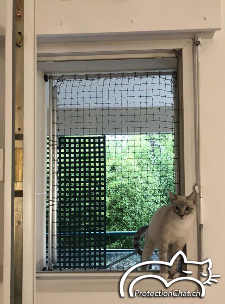Protection Fenetre Chat Castorama
