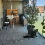 catio-sur-balcon-02