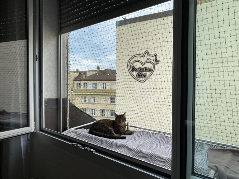 chaterie sur fenetre 08