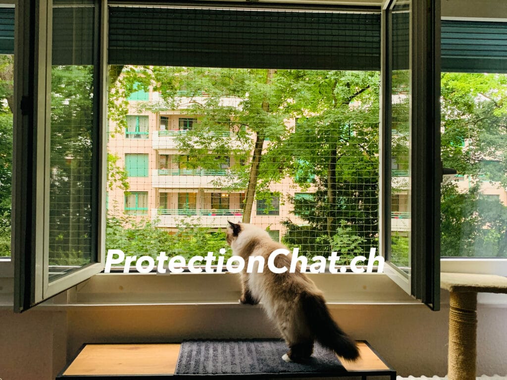 Filet de protection transparent pour chat Zolia Angel - 3 tailles  disponibles