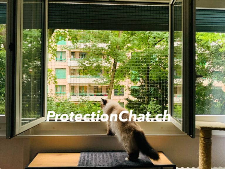 filet de protection pour chat fenetre 03