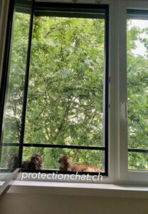 filet de protection pour chat xxl sans percer les murs 01