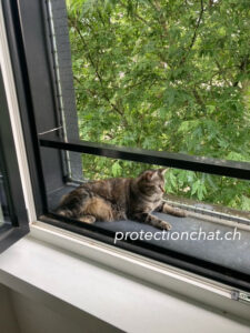 filet de protection pour chat xxl sans percer les murs 02