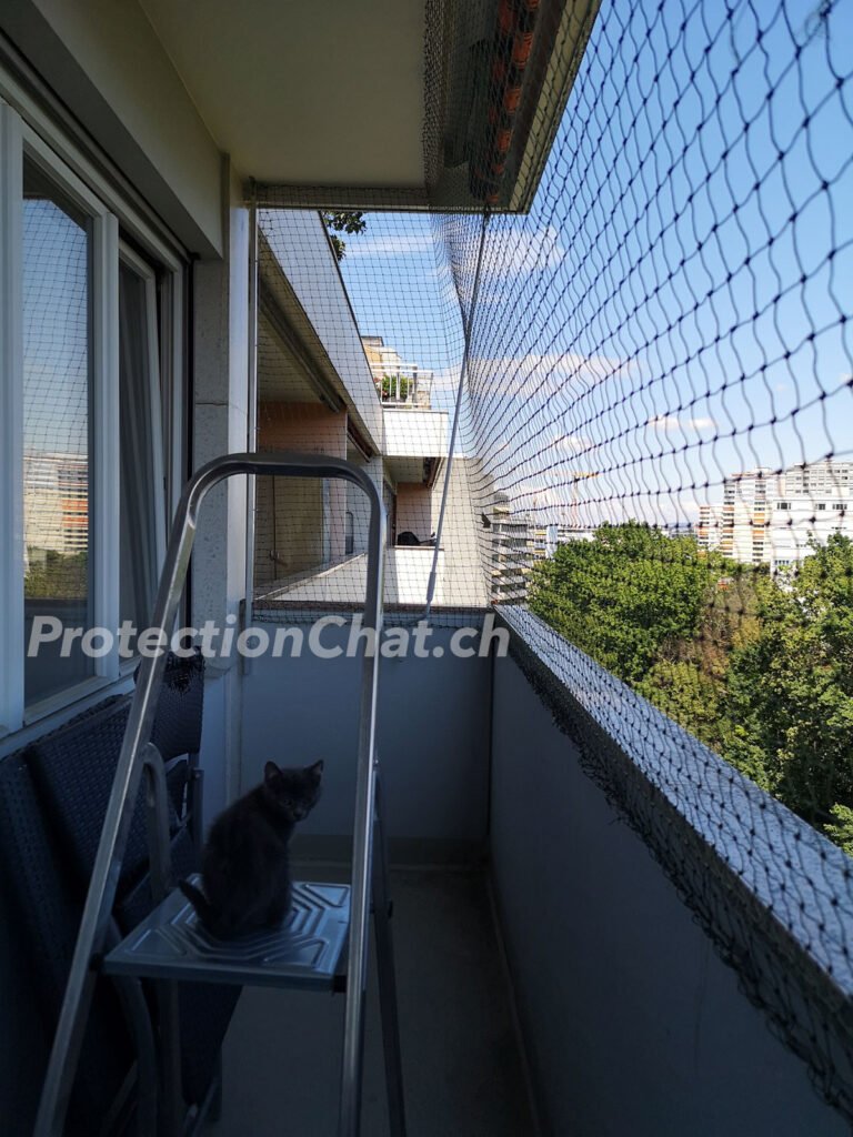 Temoignages Filet De Protection Pour Chat Geneve Lausanne Suisse Temoignages Filet De Protection Pour Chat Geneve Lausanne Suisse